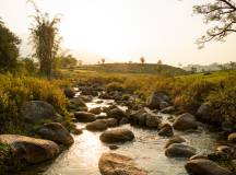 Foothills of the Himalaya