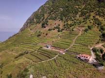 Madeira Discovery – Premium Adventure