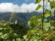 Madeira Discovery – Premium Adventure