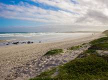 Highlights of Ecuador & the Galapagos