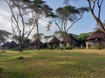 Kenya Safari Adventure