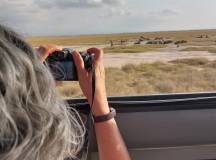 Kenya Safari Adventure