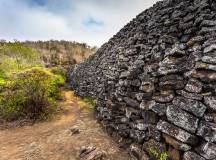 Highlights of Ecuador & the Galapagos