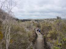 Highlights of Ecuador & the Galapagos