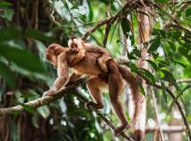 Highlights of Ecuador & the Galapagos