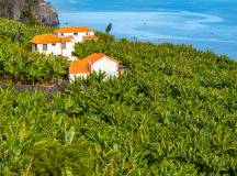 Madeira Discovery – Premium Adventure