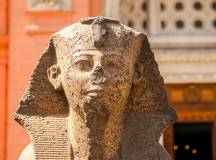 Highlights of Egypt