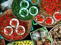 Discover Laos in Comfort