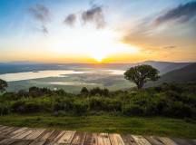 Safari Add-on Tour – after Lemosho Route