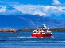 An Icelandic Adventure