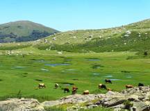Trek the GR20 of Corsica