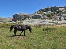 Trek the GR20 of Corsica