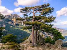 Trek the GR20 of Corsica