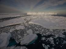 Snow Hill to the Peninsula: Shackleton’s Emperors with Paul Goldstein