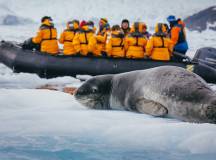 Snow Hill to the Peninsula: Shackleton’s Emperors with Paul Goldstein