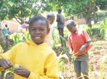 Community Kickstart Projects in Africa