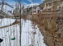 The Himalayan Community Support Project, Nepal & India