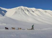 Svalbard Arctic Adventure – Sunny Winter