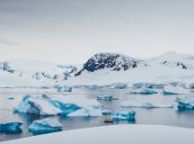 Antarctic Express: Cruise South, Fly North