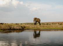 Botswana & Zimbabwe Lodge Safari
