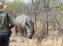 Botswana & Zimbabwe Lodge Safari