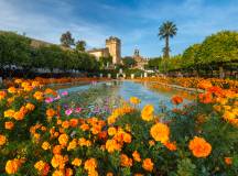 Highlights of Spain by Rail