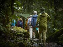 Discover Costa Rica – with Dominical
