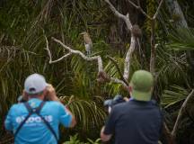 Discover Costa Rica – with Dominical