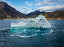 Northwest Passage to Newfoundland: Glaciers, Mountains and Wildlife