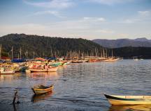 Discover Brazil