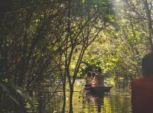 Discover Brazil