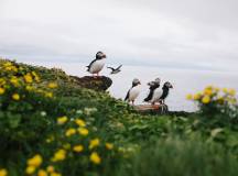 Iceland Circumnavigation: Helicopters, Glaciers and Volcanoes