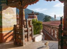 Festivals of Bhutan – Trongsa