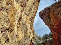 Radical Sabbatical