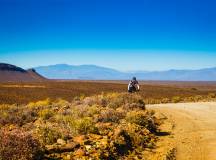 Road Cycling