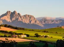 Highlights of South Africa’s Winelands