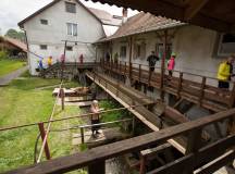 Cycle Romania