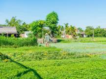 Vietnam Highlights