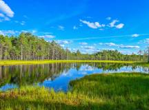 Multi-Country Holidays