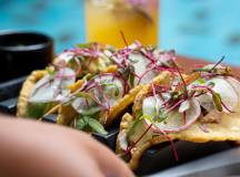 Mexico’s Yucatán Adventure
