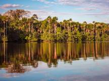 Premium Amazon Rainforest Extension (from Cuzco)