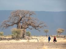 Tanzania Safari Adventure