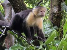 Get Even Close To Wildlife