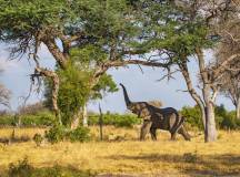Tanzania