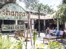 Tanzania Safari Adventure