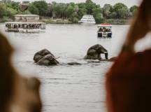 Botswana & Zimbabwe Lodge Safari
