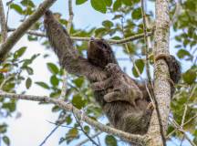 Get Even Close To Wildlife