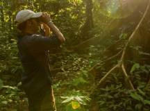 Premium Amazon Rainforest Extension (from Cuzco)