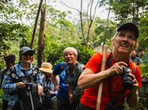 Primates & Dragons of Indonesia