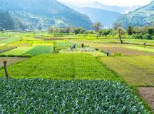 Discover Guatemala
